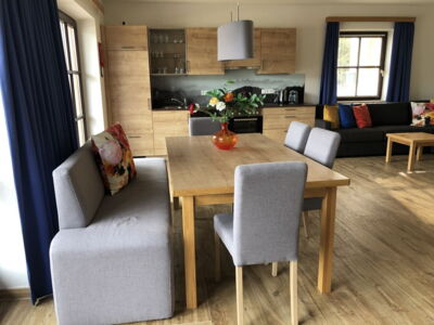 Gemütlicher Wohnbereich in der Ferienwohnung Top 1 im Appartement Schwab Ski-In & Ski-Out in Schladming Rohrmoos an der Piste der 4-Berge-Skischaukel